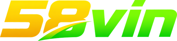 Logo 58vin
